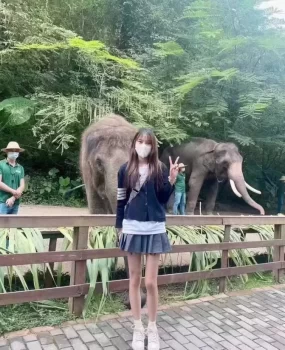 海珠可甜可甜小嫩妹