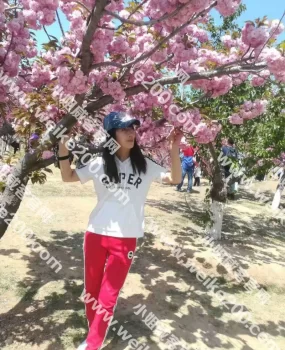 本溪35岁高挑妓就是没胸