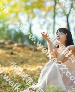 价格便宜服务好的良心楼凤